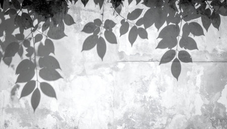 abstract background: black and white leaves on a grunge wallの素材