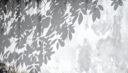 Shadow of leaves on a white wall. Black and white photo.の素材