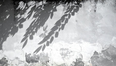 Shadow of leaves on a gray concrete wall. Gray concrete wall background.の素材