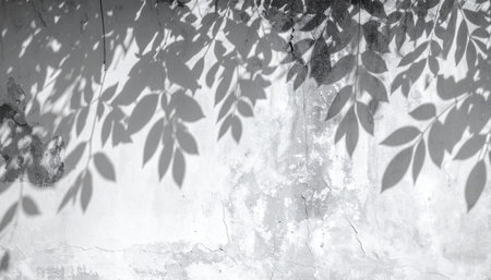 Black and white shadows of leaves on a white wall. Abstract background.の素材