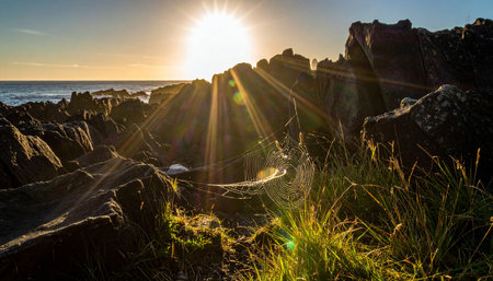 Sunset over the Atlantic Ocean in Tenerife Canary Islands Spainの素材