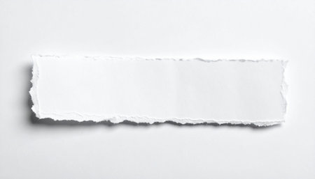 A single rectangular torn paper strip with ragged edges lies horizontally on a white background.の素材
