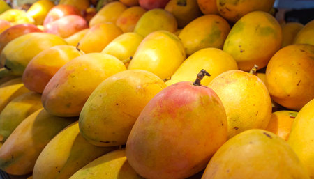 A close-up shot of stacked ripe mangoes displaying yellow, orange, and red colors, likely at a market stall.の素材