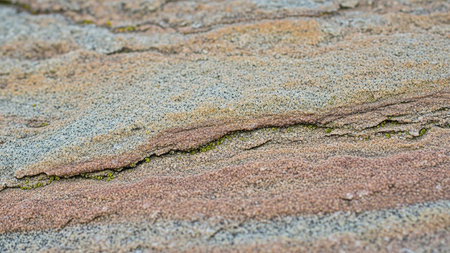 Detailed close-up of layered sedimentary rock showing pink, grey, and beige striations with small patches of green moss.の素材
