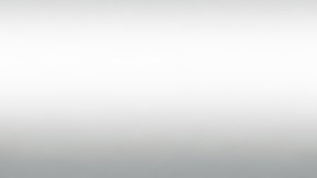 From showing smooth gradient background transitioning from bright white to light gray with subtle texture.の素材