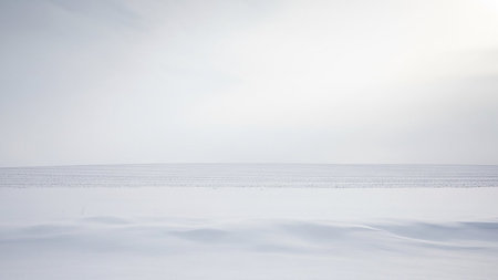 Landscape showing vast white snow covered field with subtle undulating dunes and faint horizon line keywords: snow,...の素材
