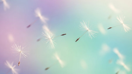 Dandelion seeds with their wispy parachutes are floating and drifting across a soft, pastel gradient background.の素材