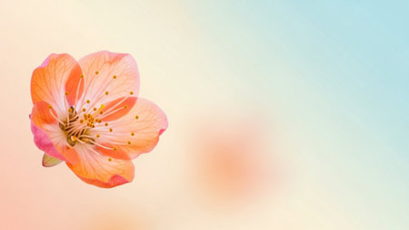 A single delicate peach and pink blossom with intricate details floats against a soft, pastel gradient background.の素材