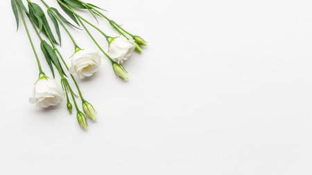 Several delicate white Eustoma flowers and unopened buds with green stems and leaves are arranged on a plain white...の写真素材