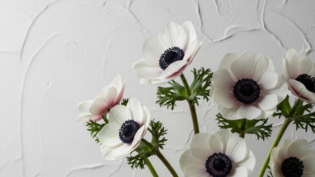 With showing close-up of white anemone flowers with dark centers and green leaves against a textured...
