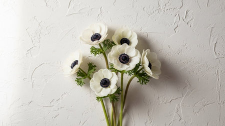 With showing delicate white anemone flowers with dark centers and green stems against a textured...