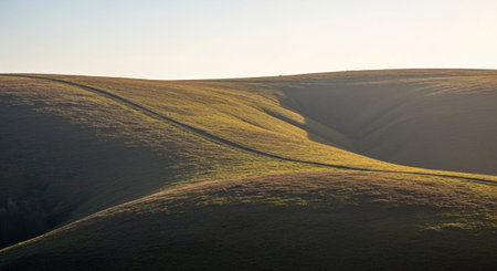 Gentle, rolling green hills are bathed in the soft, warm glow of sunlight. A subtle, winding path meanders across the undulating terrain, creating a sense of depth and inviting exploration. The interplay of light and shadow accentuates the curves and textures of the grassy slopes. The sky above is a clear, pale expanse, contributing to the overall feeling of tranquility and natural beauty. This scene evokes a sense of peace and quietude in a rural setting.の素材