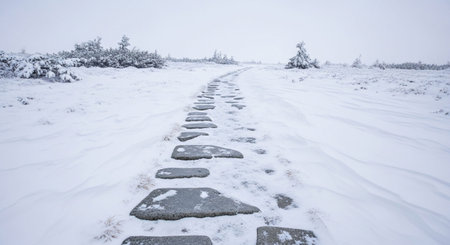 A solitary stone path, laid with irregular grey stones, cuts a clear line through an expansive landscape blanketed in pristine white snow. The path leads the viewer's eye into the distance, where sparse, snow-laden bushes and a few small, frosted trees break the otherwise uniform expanse. The sky is a soft, overcast grey, contributing to the quiet and serene atmosphere of this winter scene. The overall impression is one of stark beauty and peaceful isolation.の素材