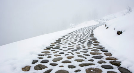 A winding stone pathway, paved with rounded cobblestones, emerges from a thick blanket of pristine white snow. The path curves gently upwards into a soft, hazy white fog, obscuring the distant landscape. The muted tones of grey stone and white snow create a serene and tranquil atmosphere, emphasizing the quiet solitude of the winter scene. The textures of the stones and the soft diffusion of light through the fog add a sense of depth and peacefulness to this deserted winter journey.の素材