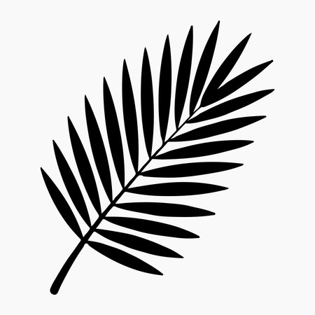 Elegant Palm Leaf Silhouette Against a White Backgroundのイラスト素材