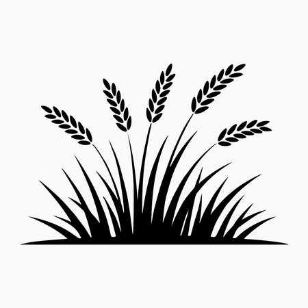 Simple Black Silhouette of Wheat and Grass. Tall grassのイラスト素材