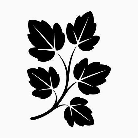 Silhouette of a hop vine branch with leaves.. vine leavesのイラスト素材