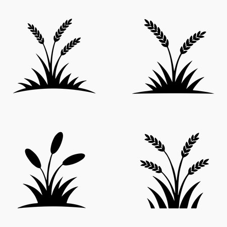black grass and wheat icons on white background Tall grassのイラスト素材