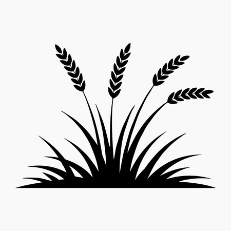 Simple Black Silhouette of Wheat and Grass. Tall grassのイラスト素材