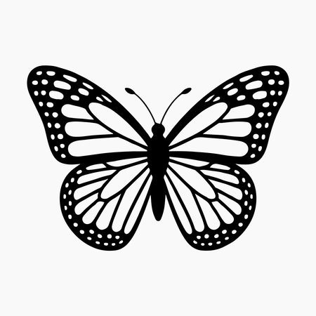 Butterfly icon. Black and white. Vector illustration isolated on white background.のイラスト素材