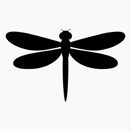 Dragonfly black silhouette isolated on white background. Flat design. Vector illustrationのイラスト素材