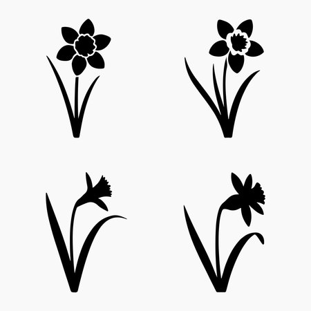 A collection of solid daffodil flower icons, each presented individually on a clean white background for versatile design use.のイラスト素材