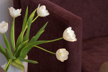 Cut flowers in vase by sofaの写真素材