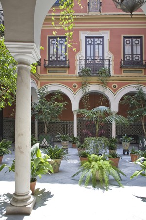 Potted plants in the courtyard of a building, Patio, Seville, Spainの写真素材