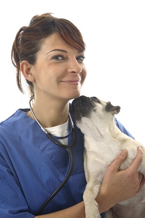 Veterinarian with cat