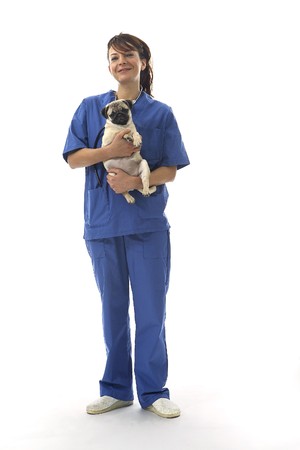 Veterinarian with catの写真素材