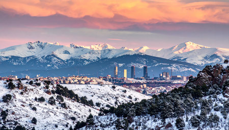 Panoramic view of the city of Grenoble in winter, Franceの素材