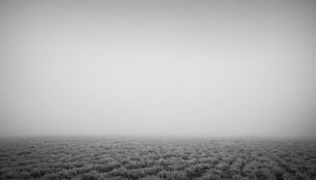Panoramic landscape of a foggy field in the late afternoonの素材