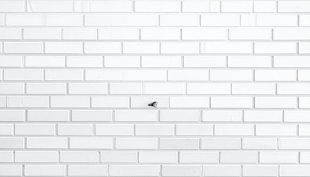 White brick wall texture background. White brick wall texture. White brick wall backgroundの素材