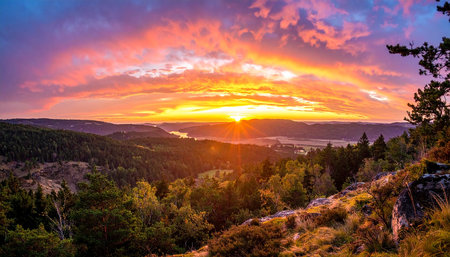 Sunset over the forest in the Carpathian Mountains, Ukraineの素材