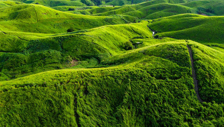 Green hills covered with moss in the Azores Islands, Portugal.の素材