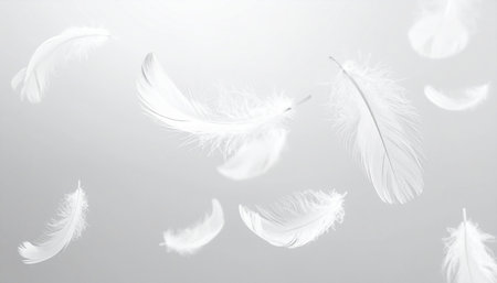 Feathers on a white background, soft focus, close upの素材