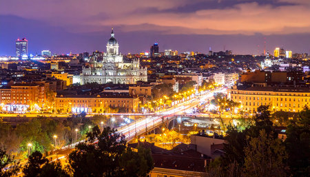 Panoramic view of the city of Lyon at night, Franceの素材