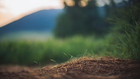 Green grass in a meadow with mountains in the background, soft focusの素材