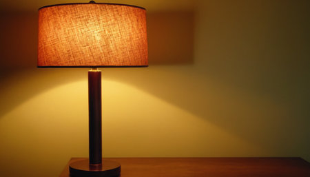 Lamp on the bedside table in the room at night.の素材