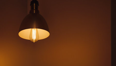 Vintage light bulb on a dark background. Copy space for text.の素材