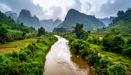 Terraced rice field with small river in Ha Giang province, Vietnam.の素材