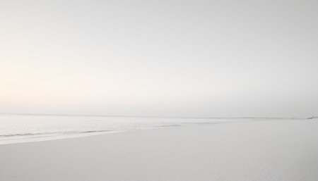Frozen Baltic sea shore in a foggy day. Landscape.の素材