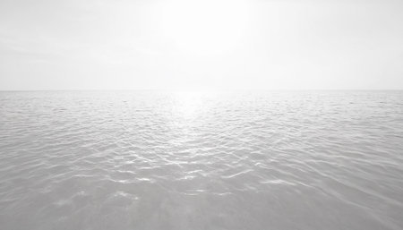 beautiful sea and sky in the morning, monochrome photoの素材