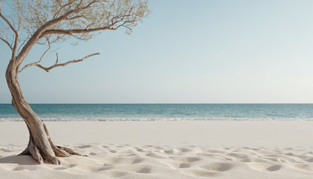 Beautiful sandy beach with a tree on the background of the seaの素材