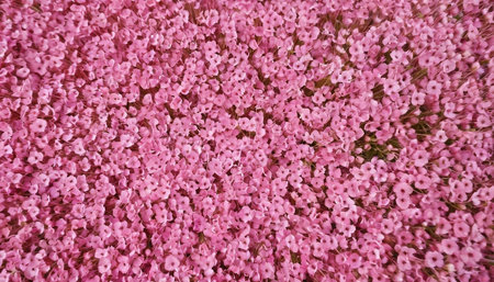 Pink flowers in the garden. Abstract background and texture for design.の素材