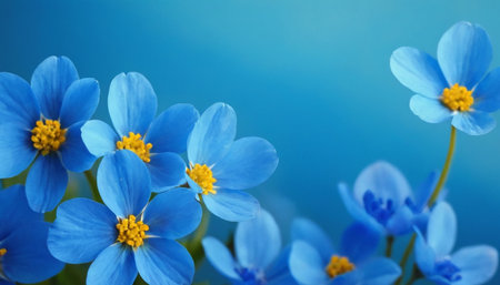 Blue spring flowers on a blue background. Floral background with copy space.の素材