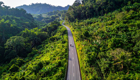 Aerial view of the road in the jungle of Costa Rica.の素材