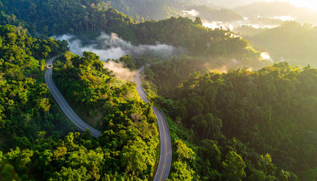 Aerial view of the road in the forest at sunrise, Thailandの素材