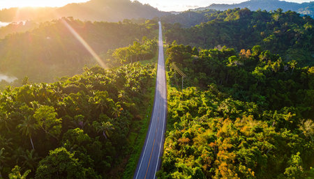 Aerial view of a road in the jungle at sunset, Bohol, Philippinesの素材
