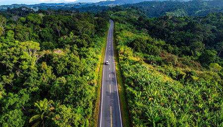 Aerial view of a road in the jungle of Costa Rica.の素材